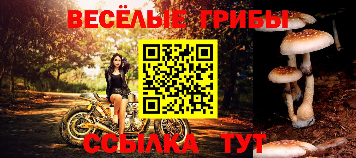 Галлюциногенные грибы прущие грибы Черкесск