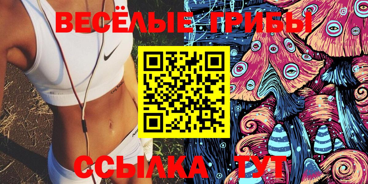Галлюциногенные грибы прущие грибы  Псилоцибиновые грибы ЛСД  Черкесск  Вход с VPN 